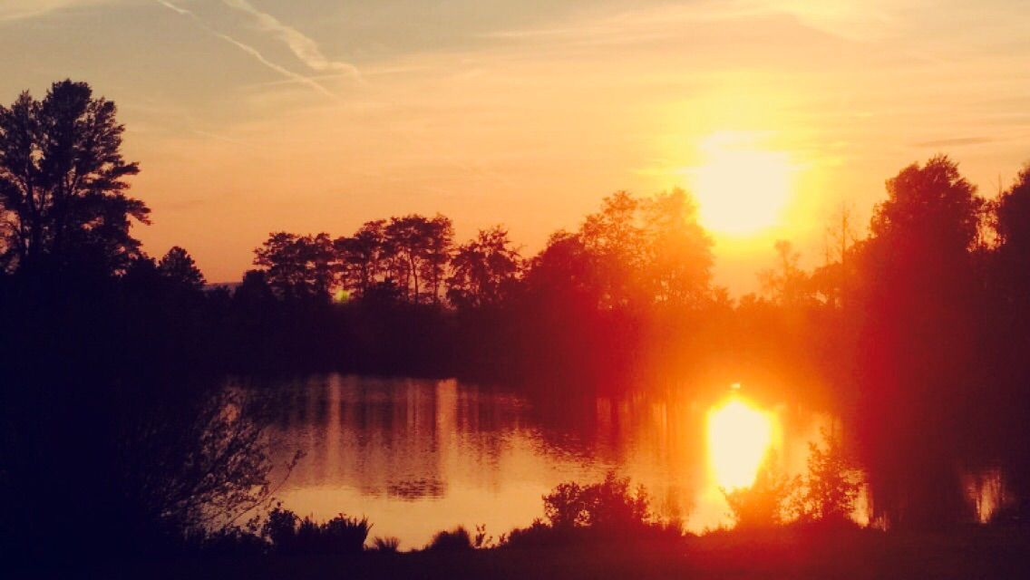 Sunset over a lake with trees in the foreground.
