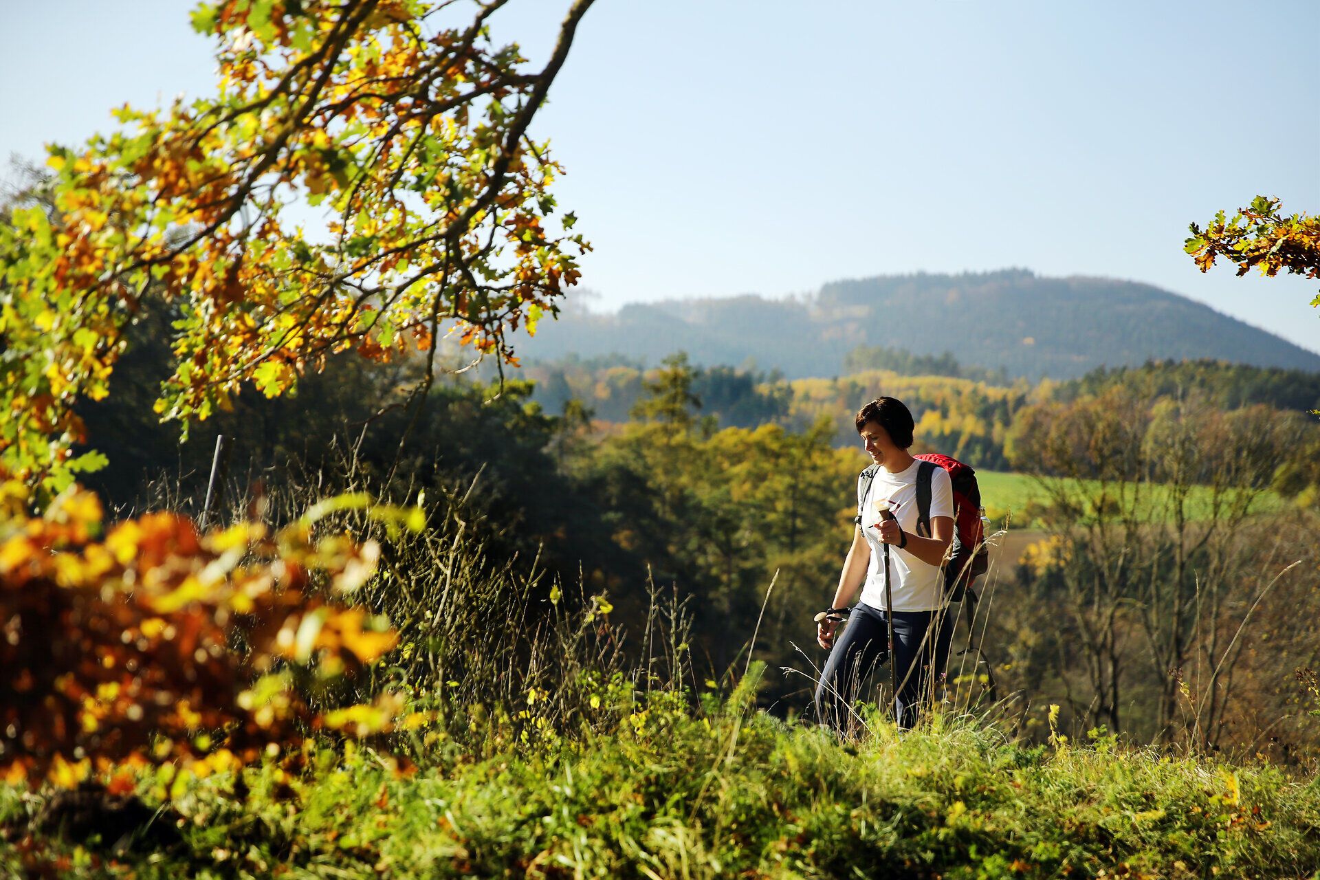 A hiker enjoys the fresh mountain air and the breathtaking view of the rolling hills of the Melk Alpine foothills. Surrounded by colorful autumn leaves and tranquil nature, the landscape invites you to unwind and discover the beauty of the surroundings.
