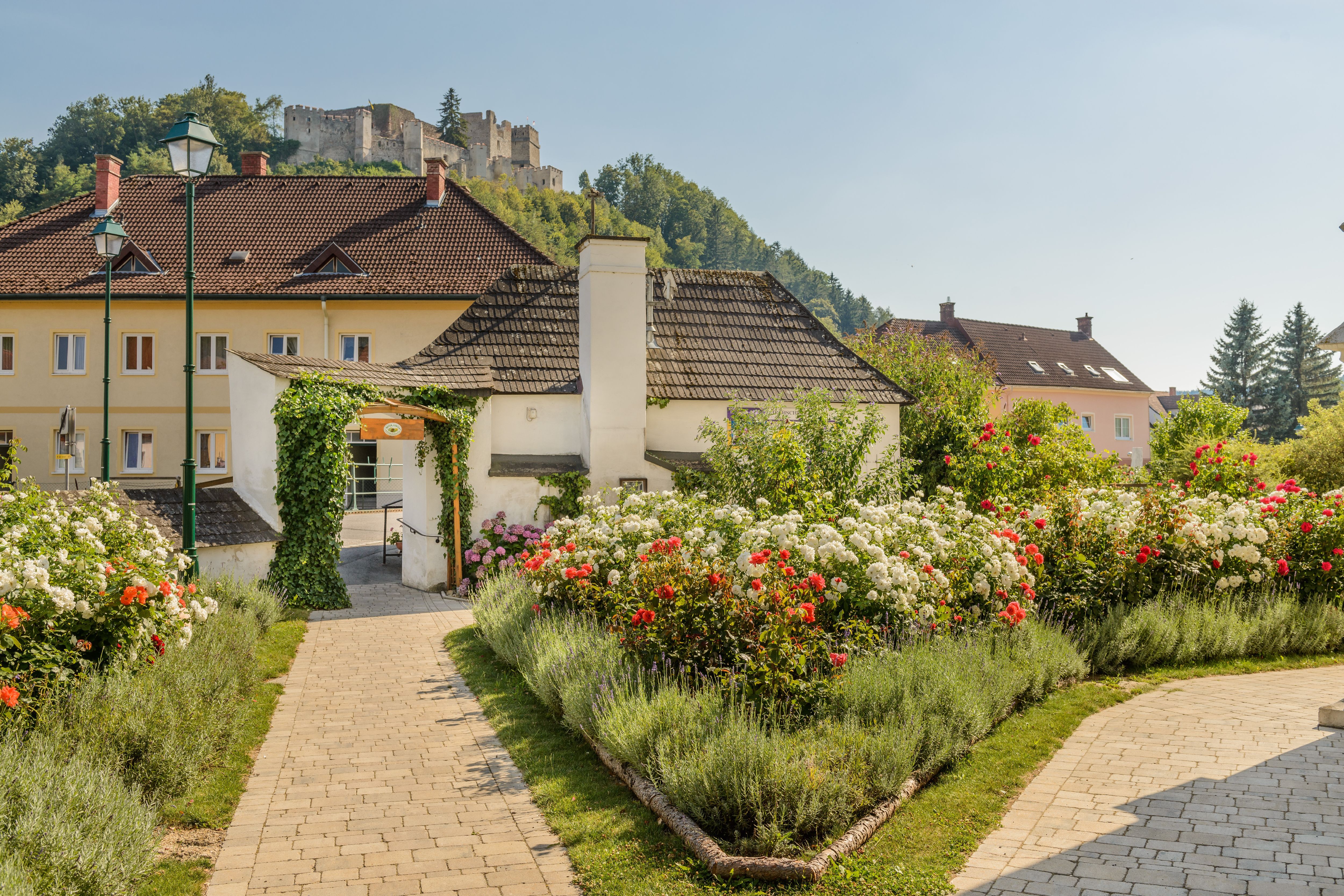 A well-tended rose garden with red and white roses and a castle on a hill in the background.