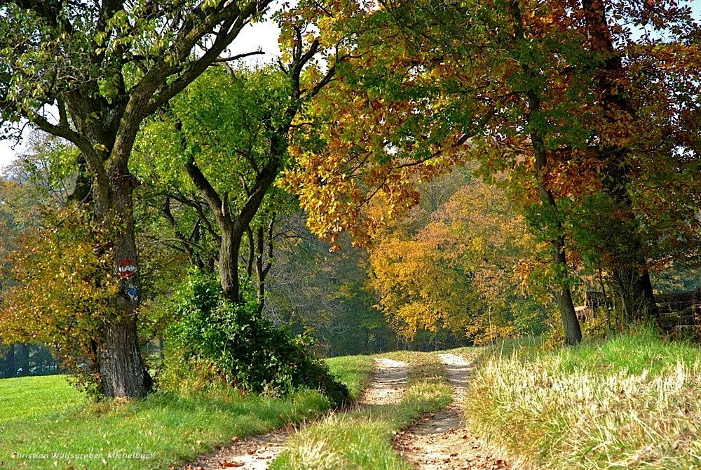 Field path to Oberpirath