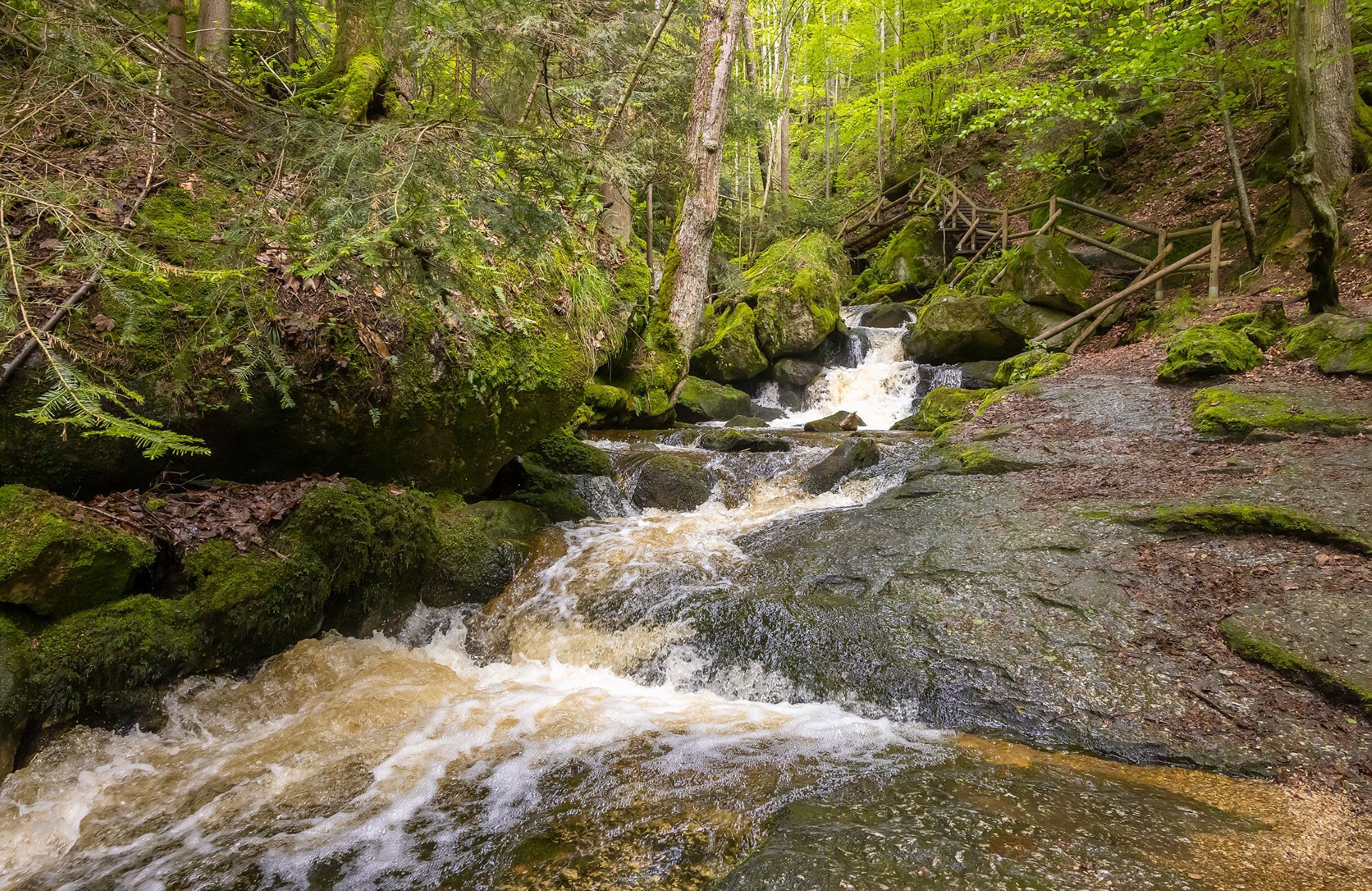 Clear water of the Ysper flows over stones in the shady section of the Ysper Gorge