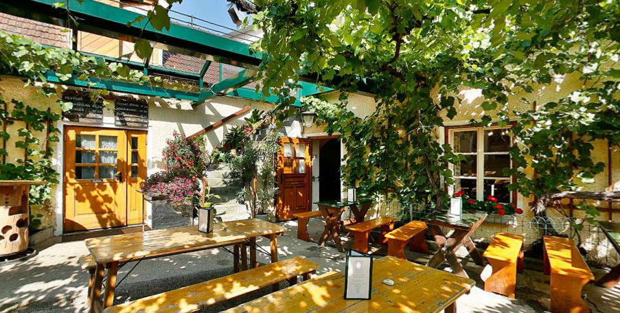 A cozy courtyard with wooden benches and tables, surrounded by green vines and plants.
