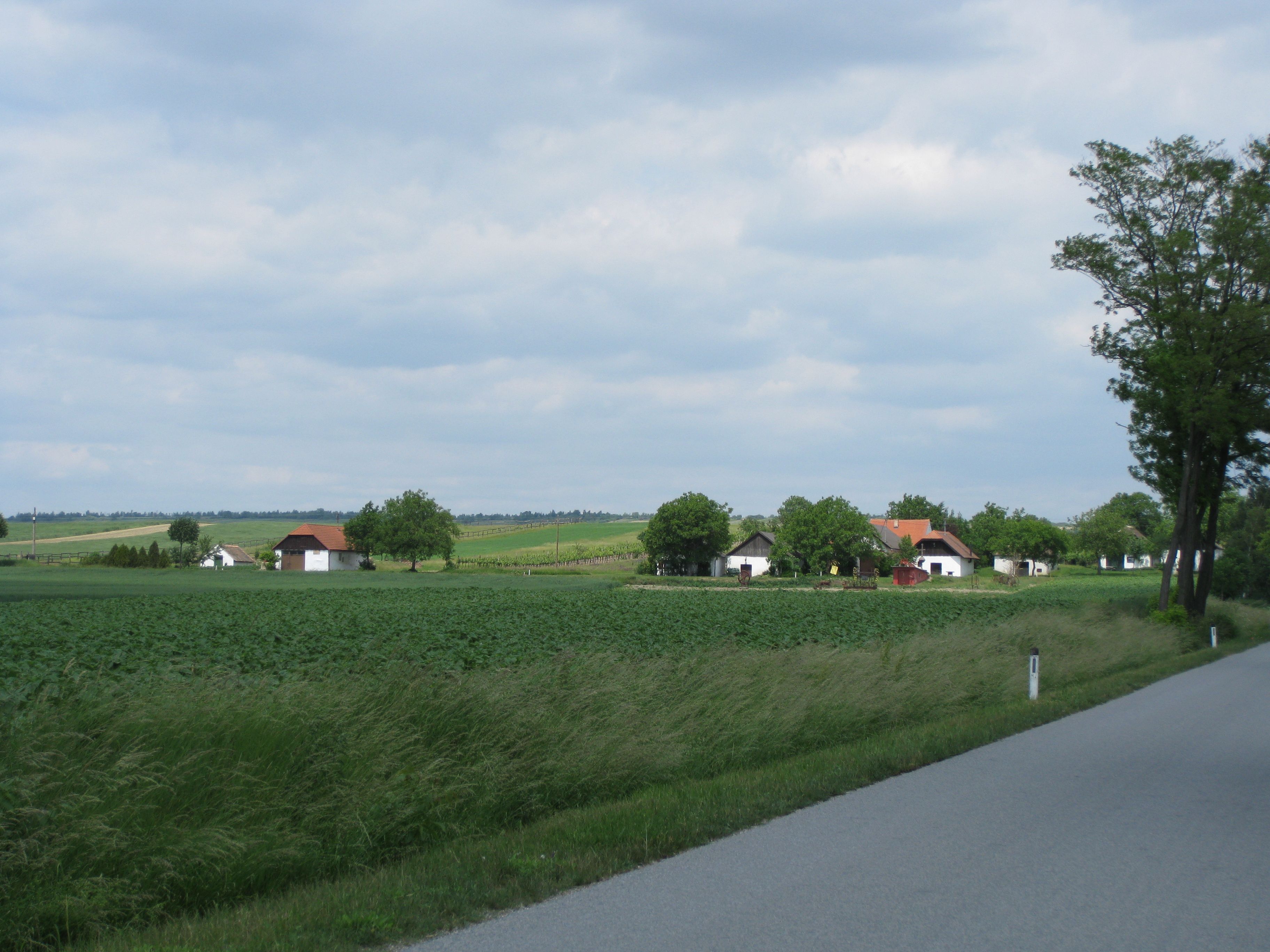 Rural landscape with fields, trees and houses under a cloudy sky.