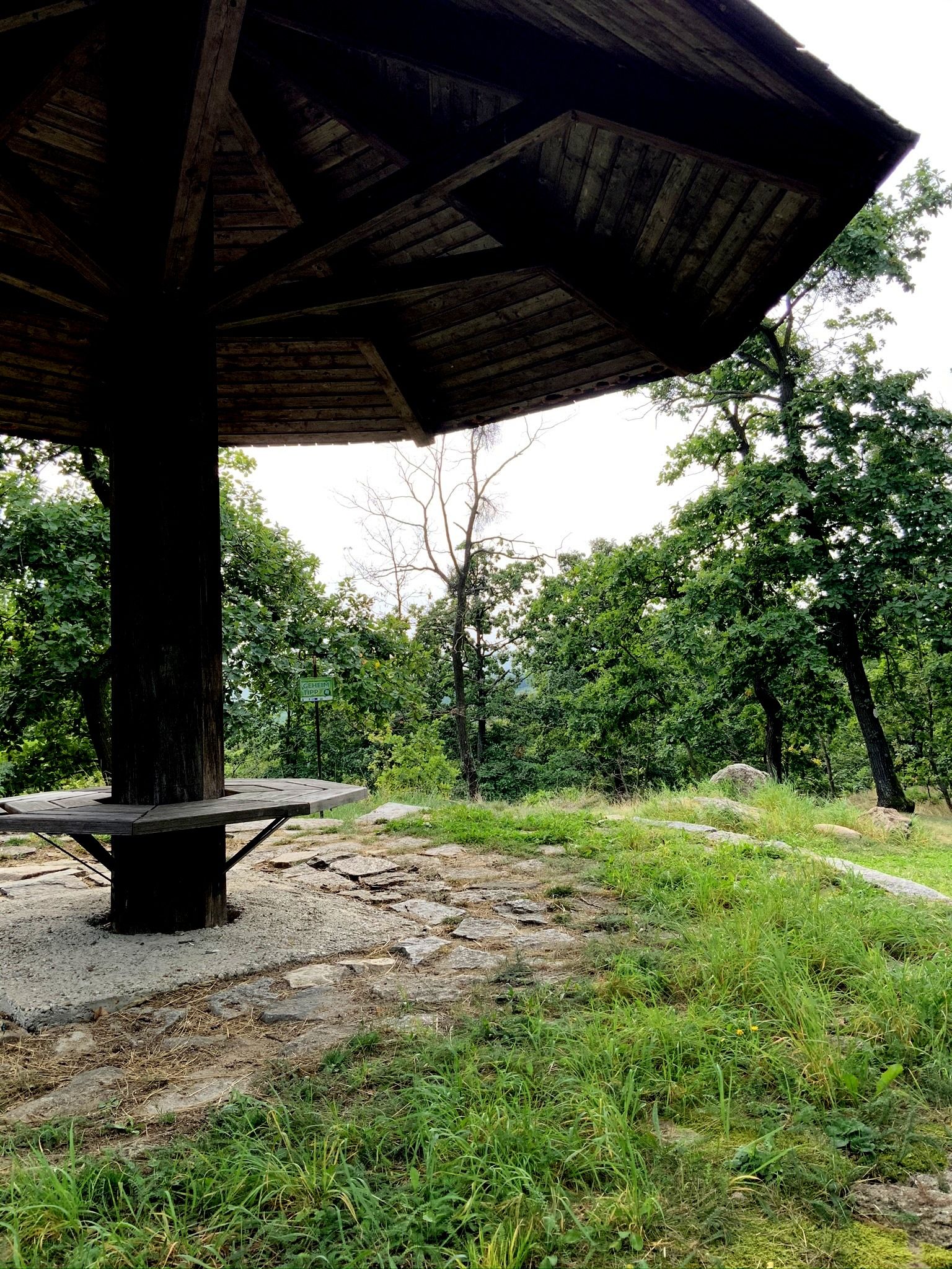 Wooden canopy in the forest with bench and green grass.