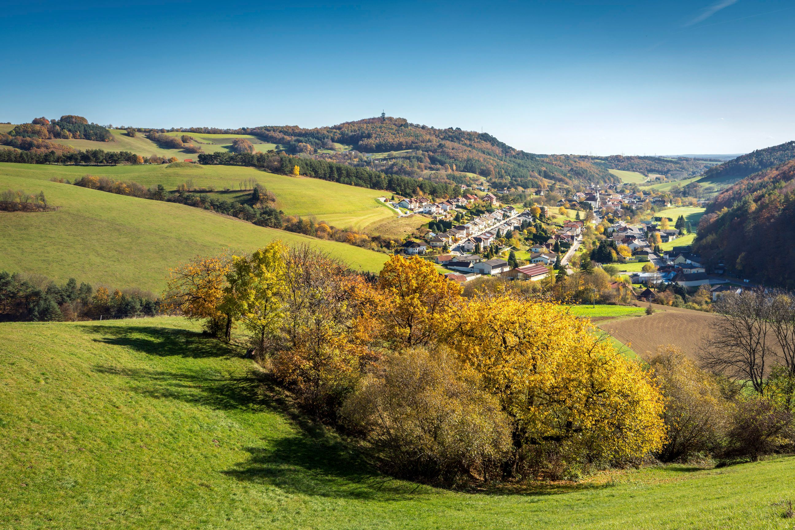 An autumnal landscape in the Bucklige Welt region, featuring green hills and the Schwarzenbach River in the valley. In the background is a hill with an observation tower