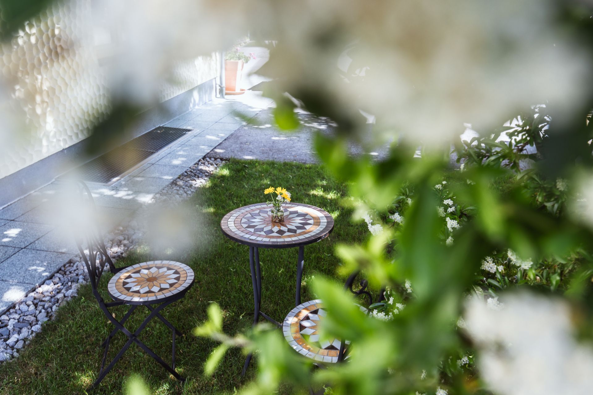 Pension Klug - Garden