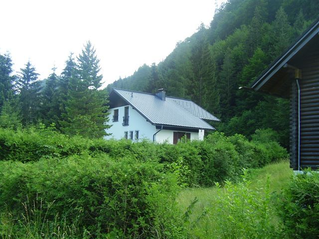 A white house with a gray roof, surrounded by green bushes and trees, in a rural forest landscape.