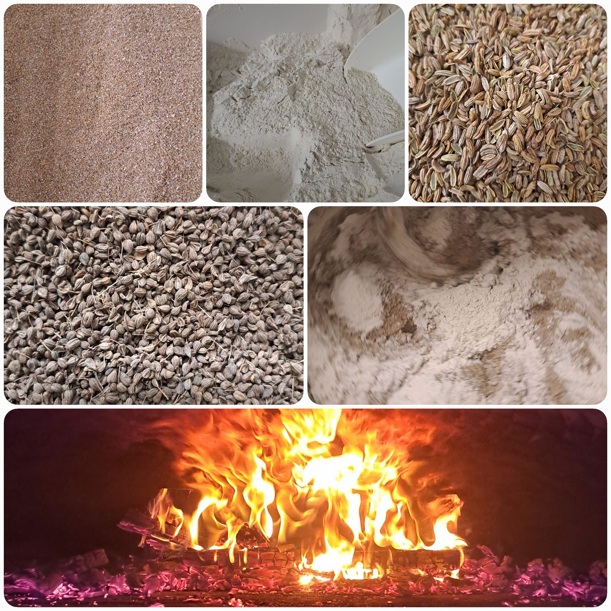 From grain to bread