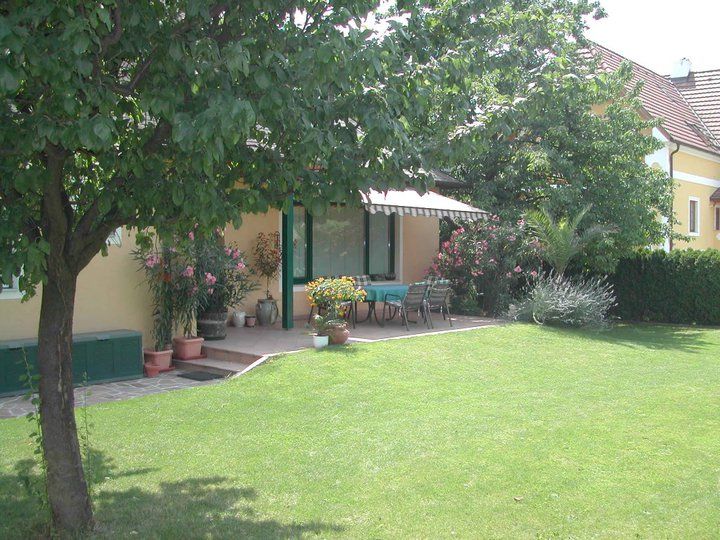 A well-kept garden with lawn, trees and a terrace in front of a yellow house.