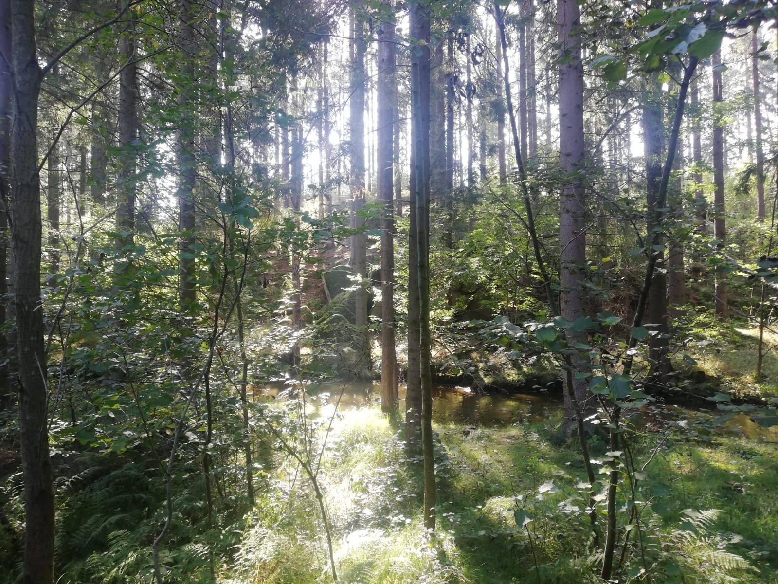 Fishing trail
