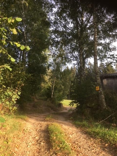Dachlstein circular trail with Mariensitz