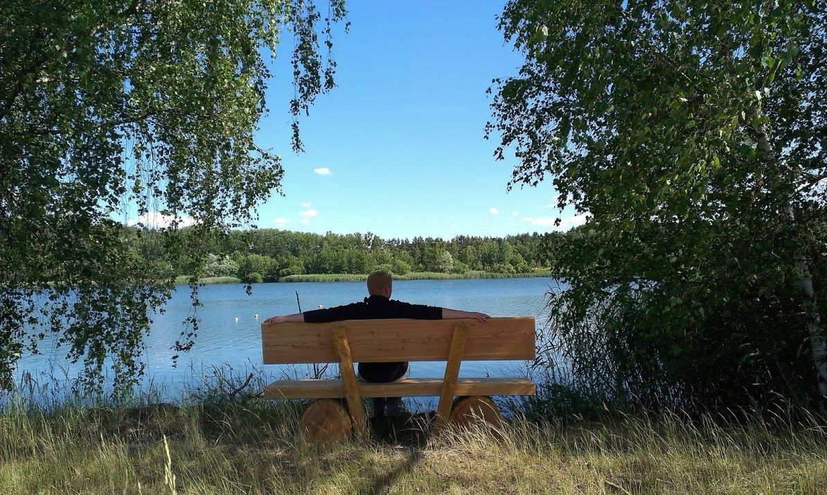 Person sitting on a bench on the shore of a lake, surrounded by trees.