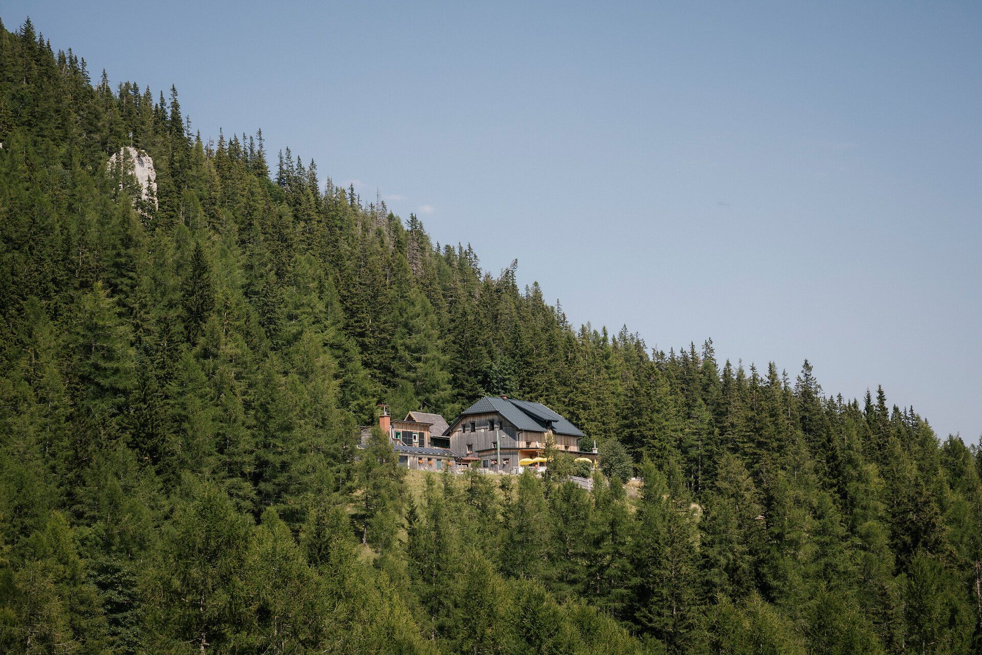 A log cabin on the Rax, surrounded by dense mountain forest