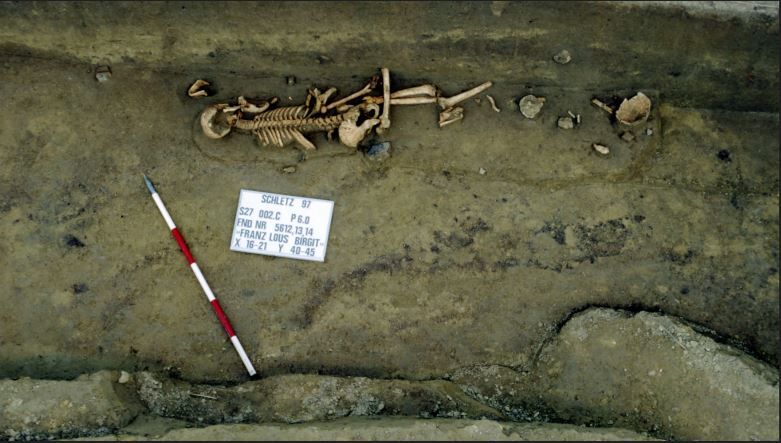 Archaeological excavation with skeleton and scale.