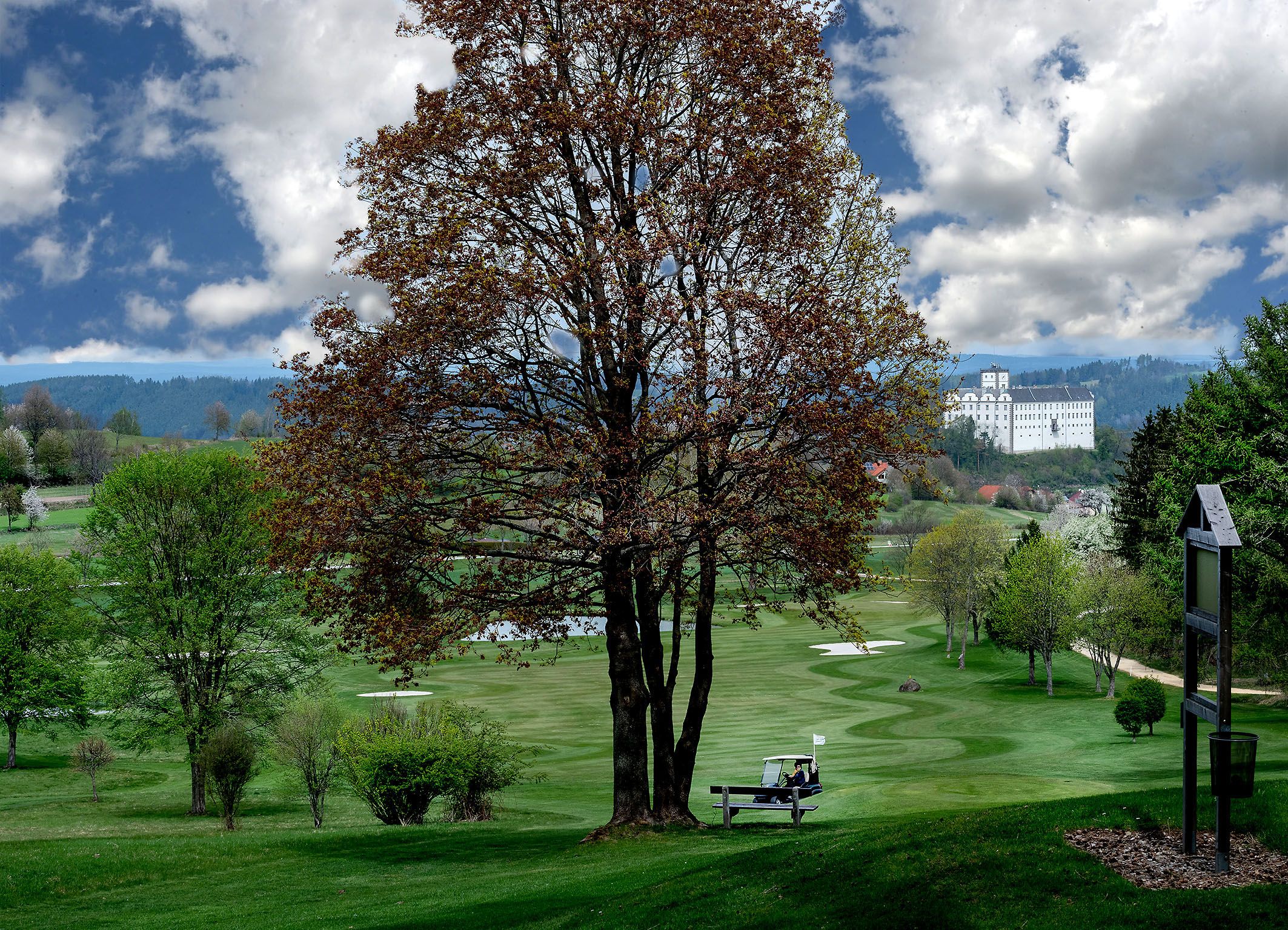 Golf course with tree in the middle and Weitra Castle in the background