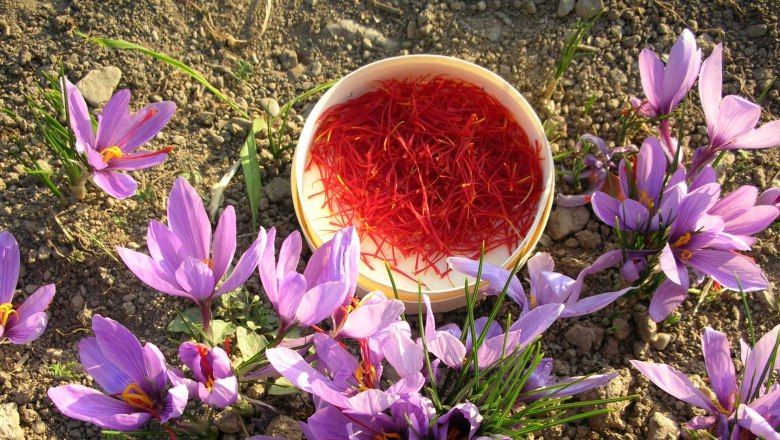 Saffron from the Wachau, © Wachauer Safran/ Kaar