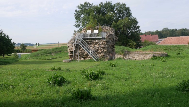 Ruins of Sachsendorf Castle with green meadow and trees in the background.