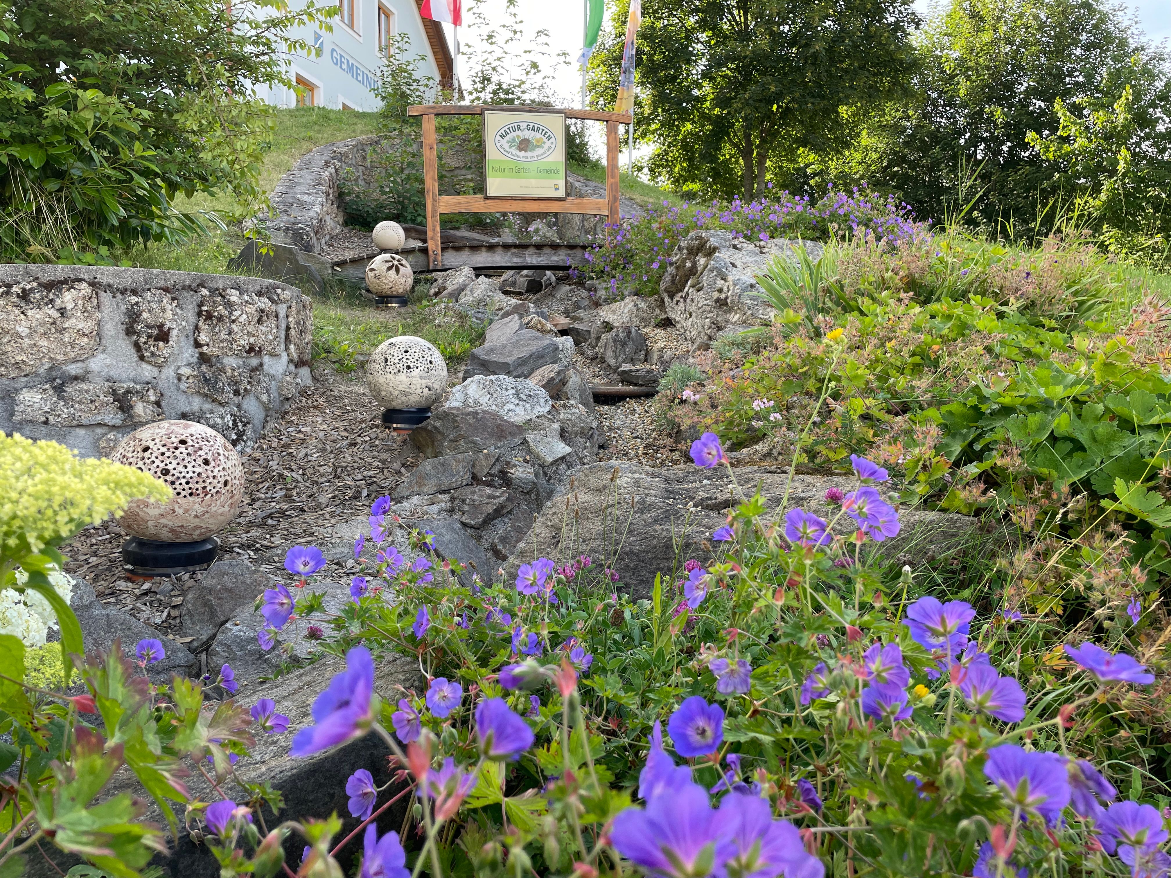 Stream in Schönbach