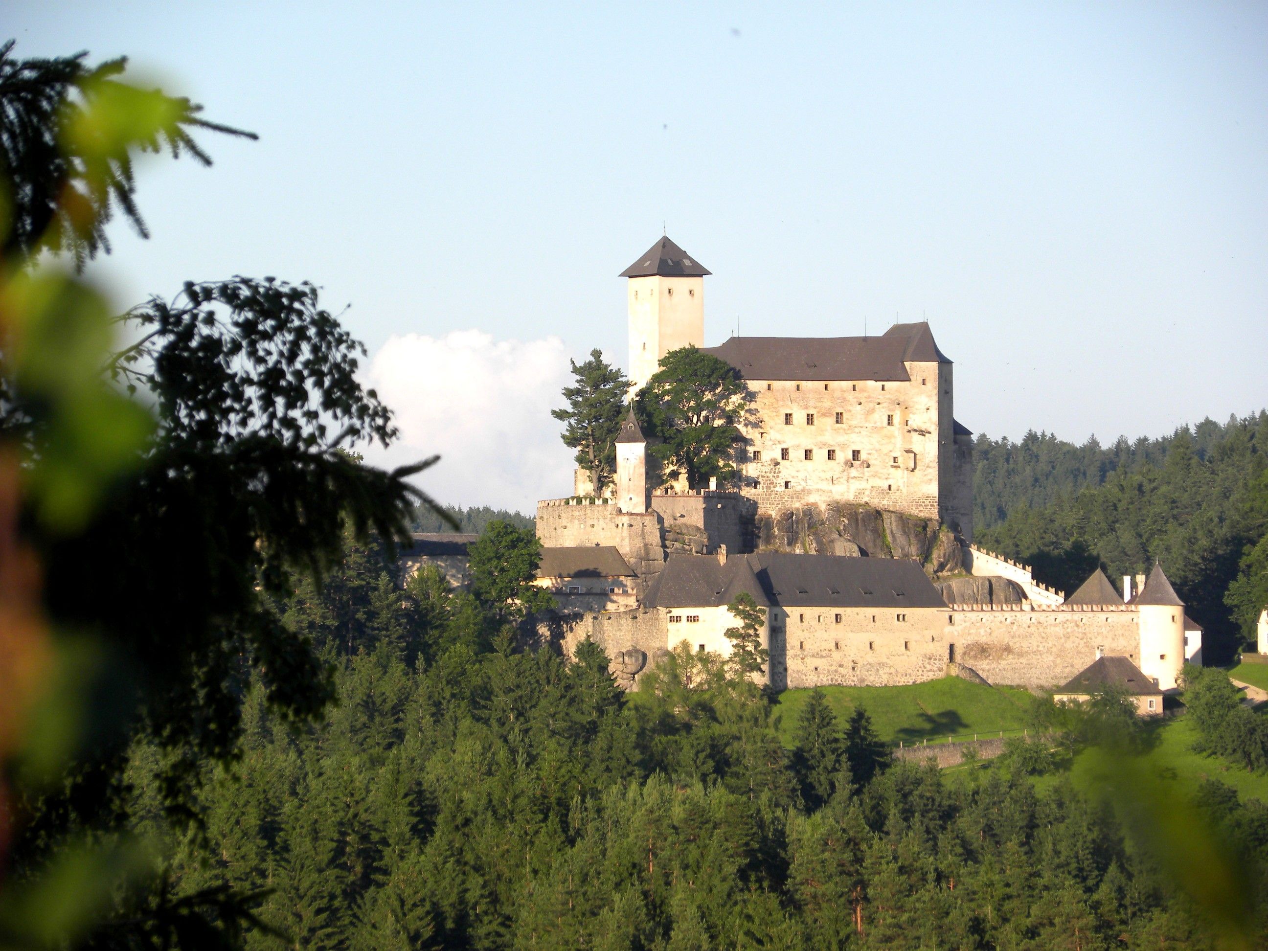 Rappottenstein Castle in the middle of a forest in daylight.