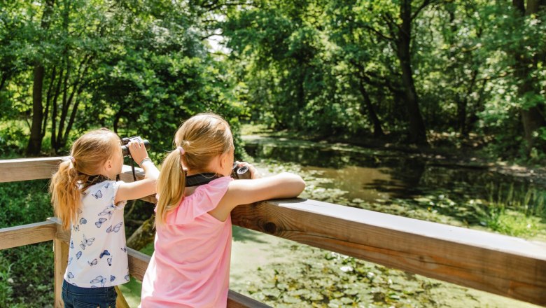 Floodplain nature trail, &copy; Schwarz K&ouml;nig Sinzinger