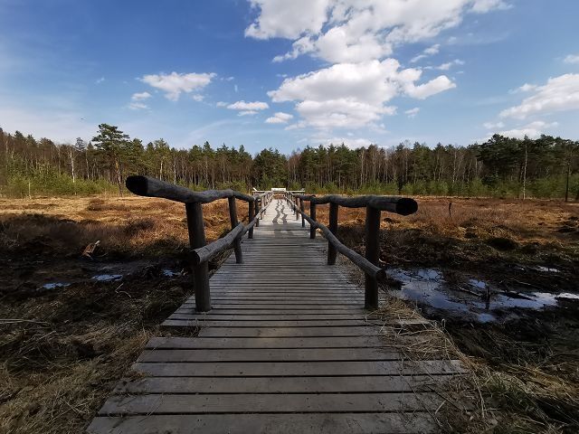 Moor nature trail in the Heidenreichstein Moor Nature Park
