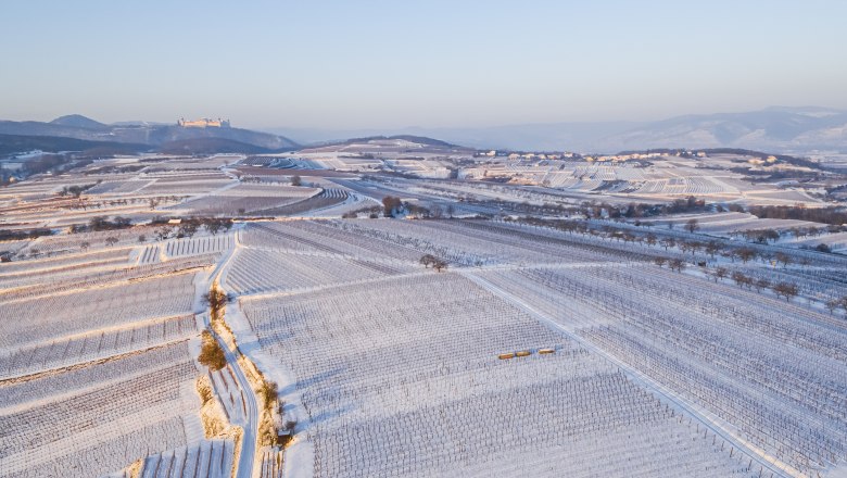NWinter in the natural garden vacation in Steffi's vacation apartments, &copy; Stefanie Kratzer
