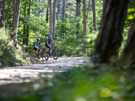 MTB Wienerwald, &copy; Wienerwald Tourismus GmbH / Markus Fr&uuml;hmann