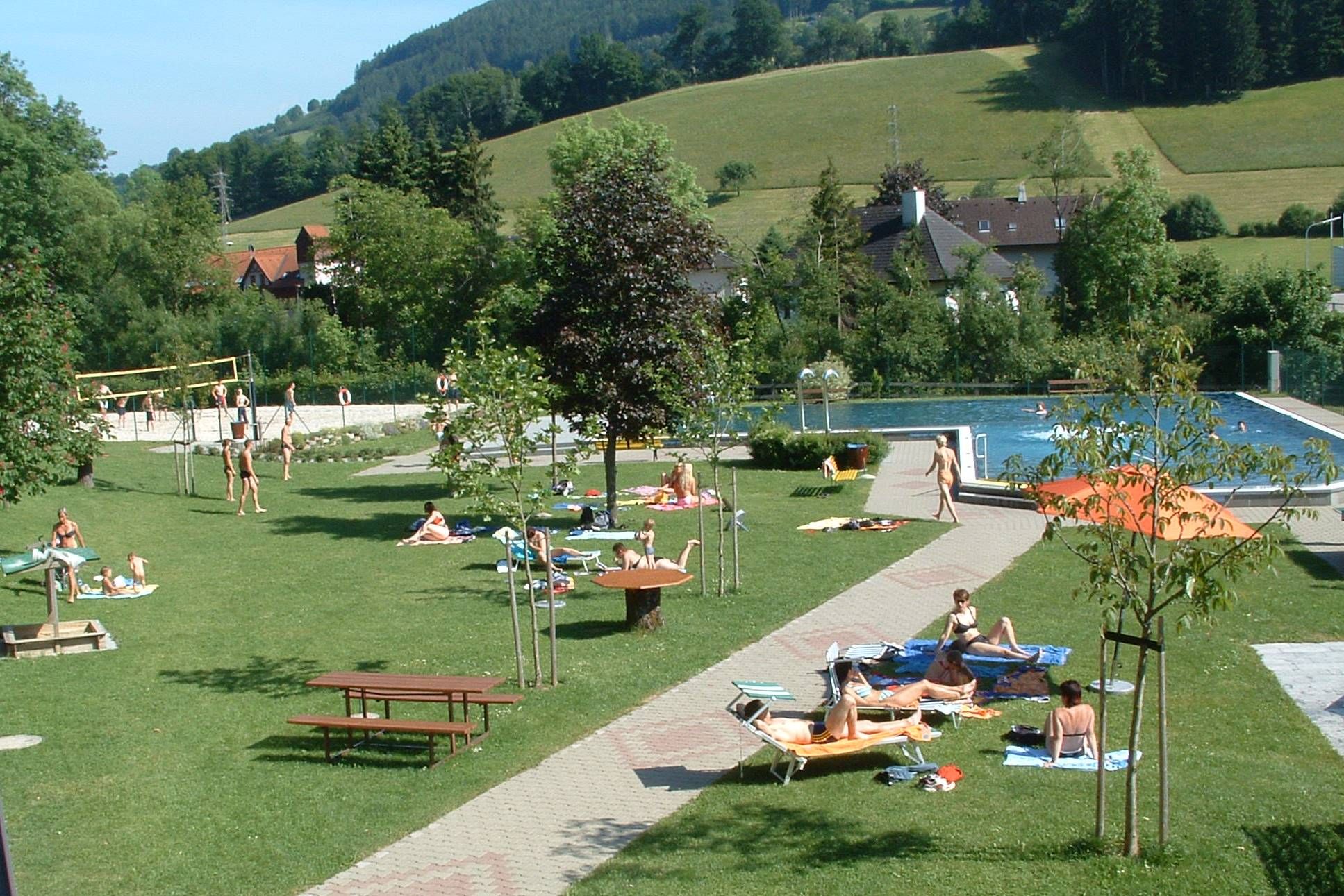 People relax on a lawn next to a swimming pool with a view of hills and trees.