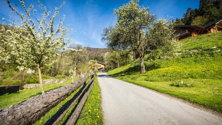 Driveway, © www.lensflair.at