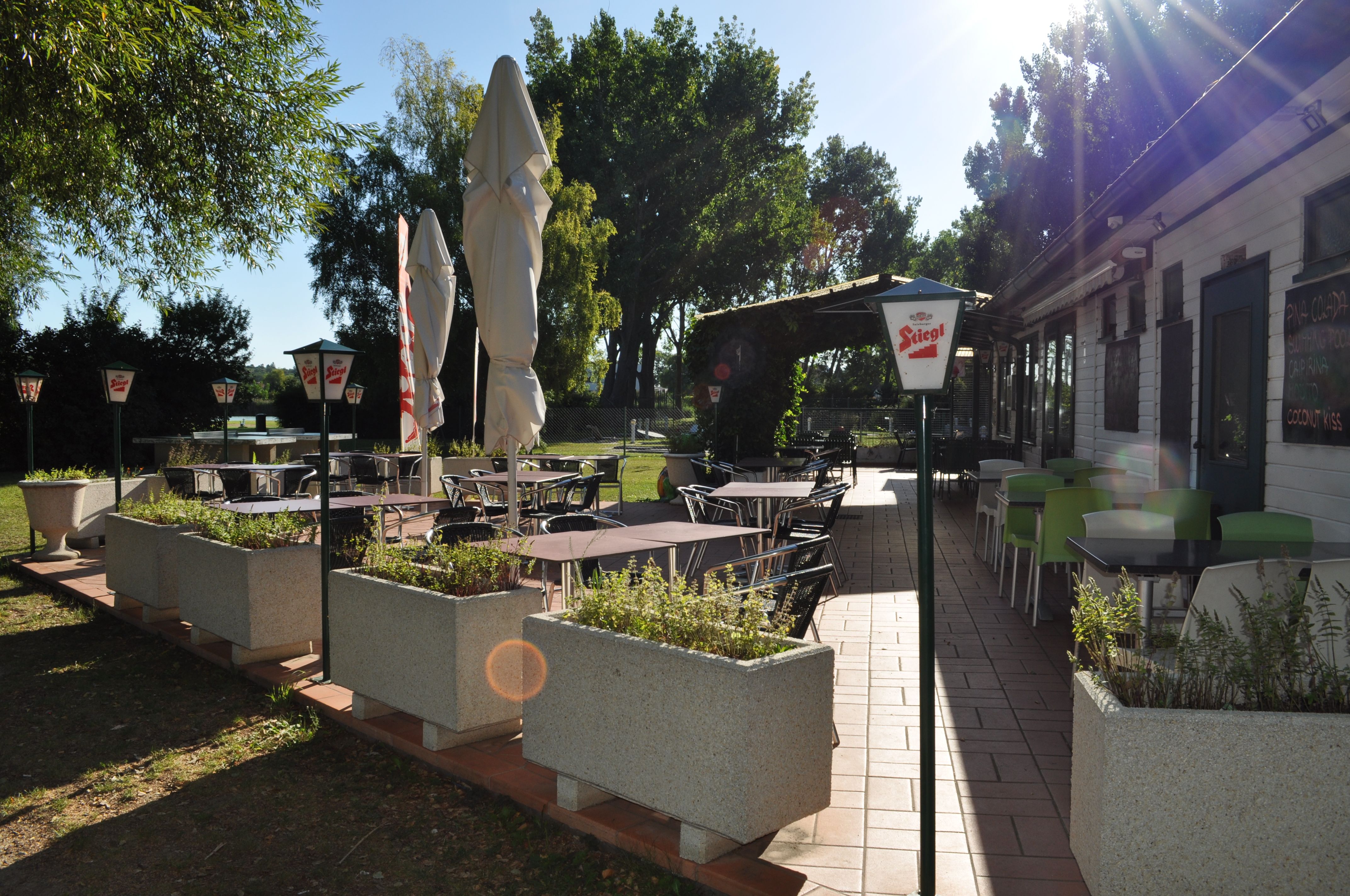 Sunny terrace with empty tables and chairs, surrounded by plants and parasols.
