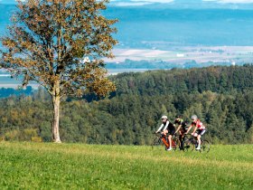 Plambachecker H&ouml;he, &copy; Josef Bollwein