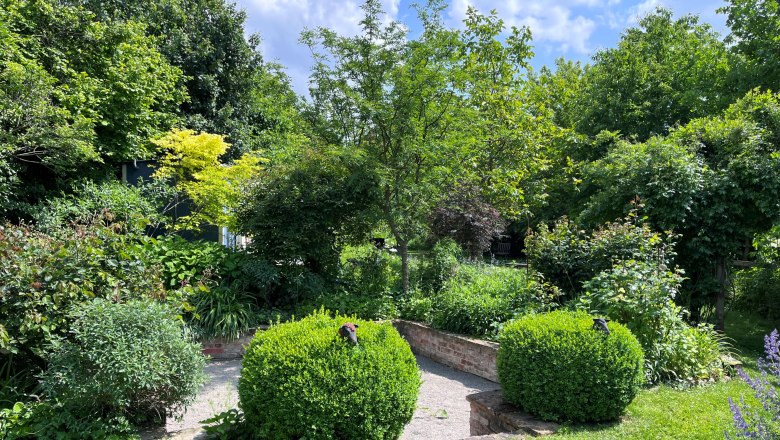A green show garden with shrubs, trees and a paved path.