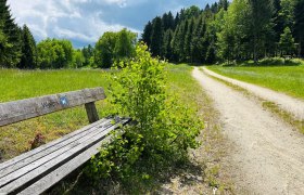 Path near Weitra, &copy; Unknown