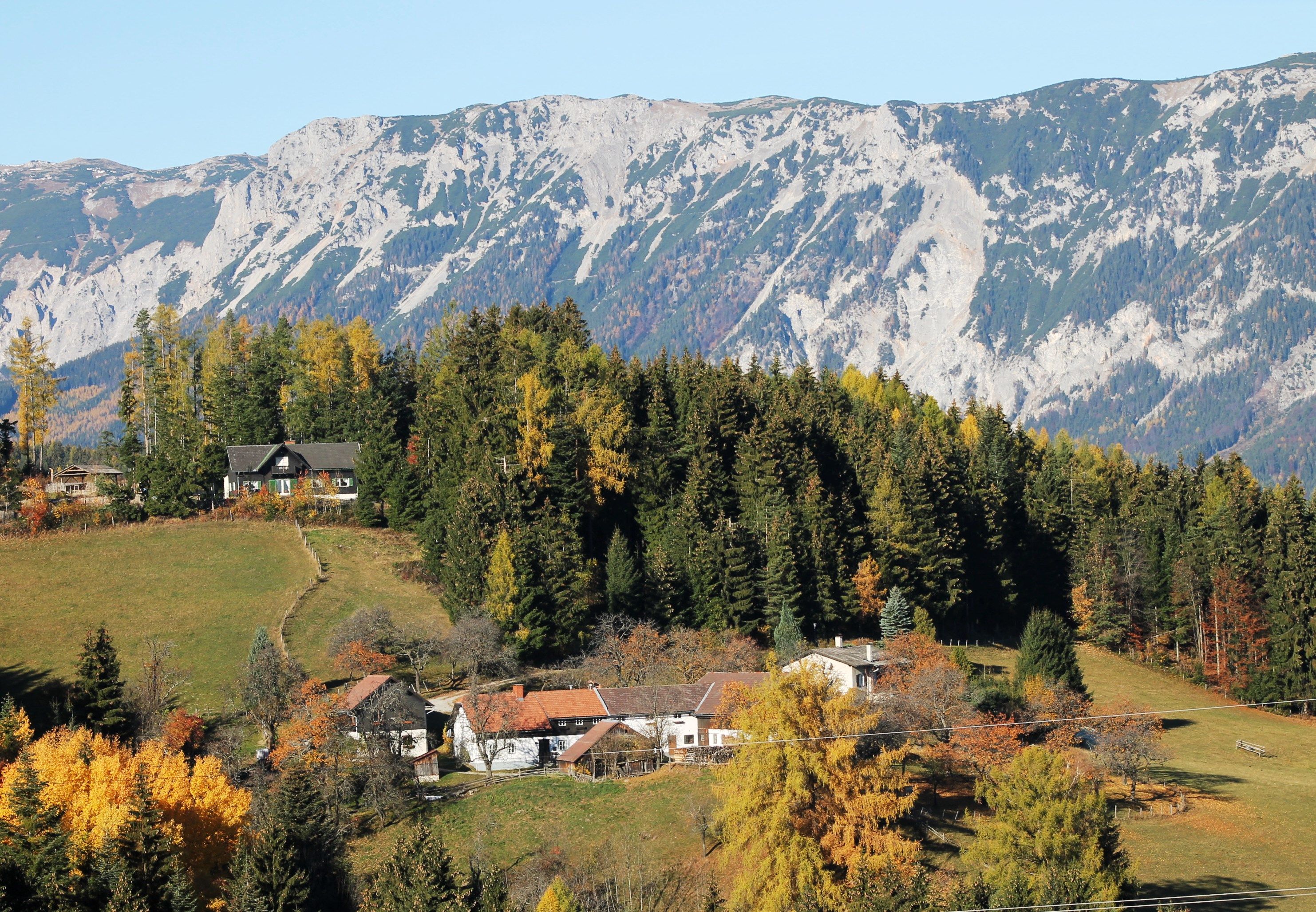 View of the Rax with forest and houses in the foreground.
