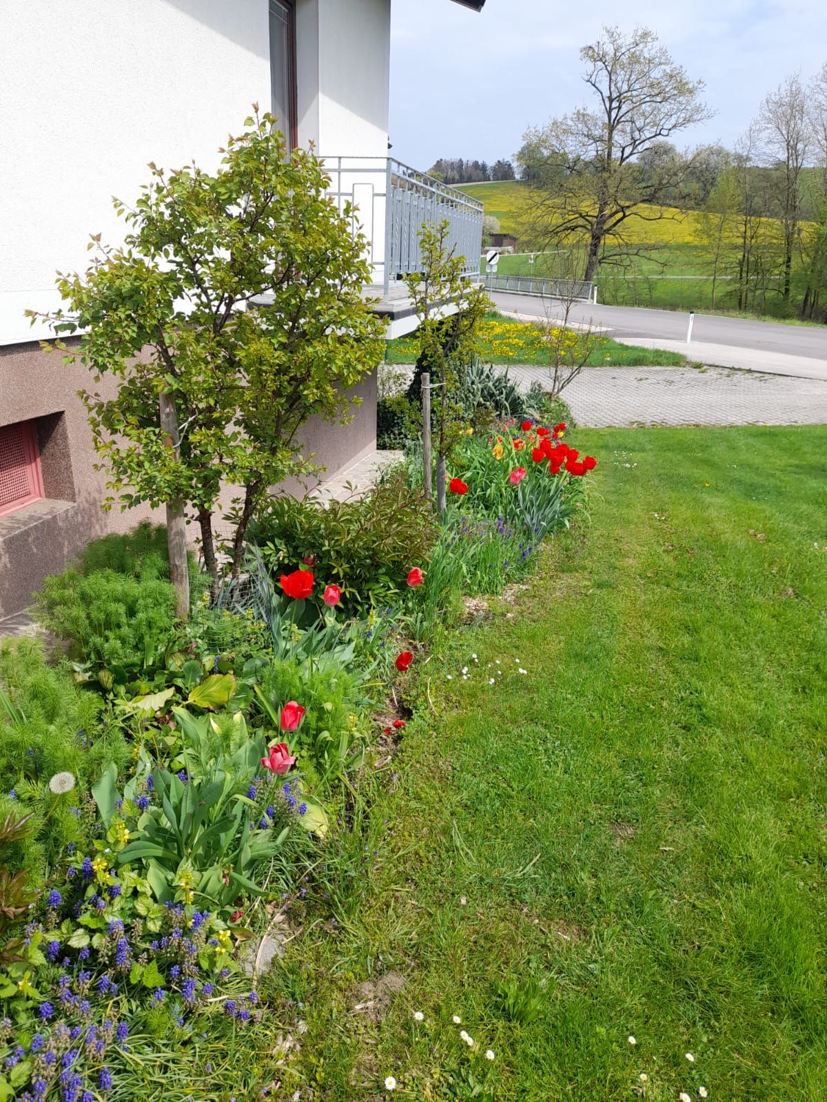 House by the stream