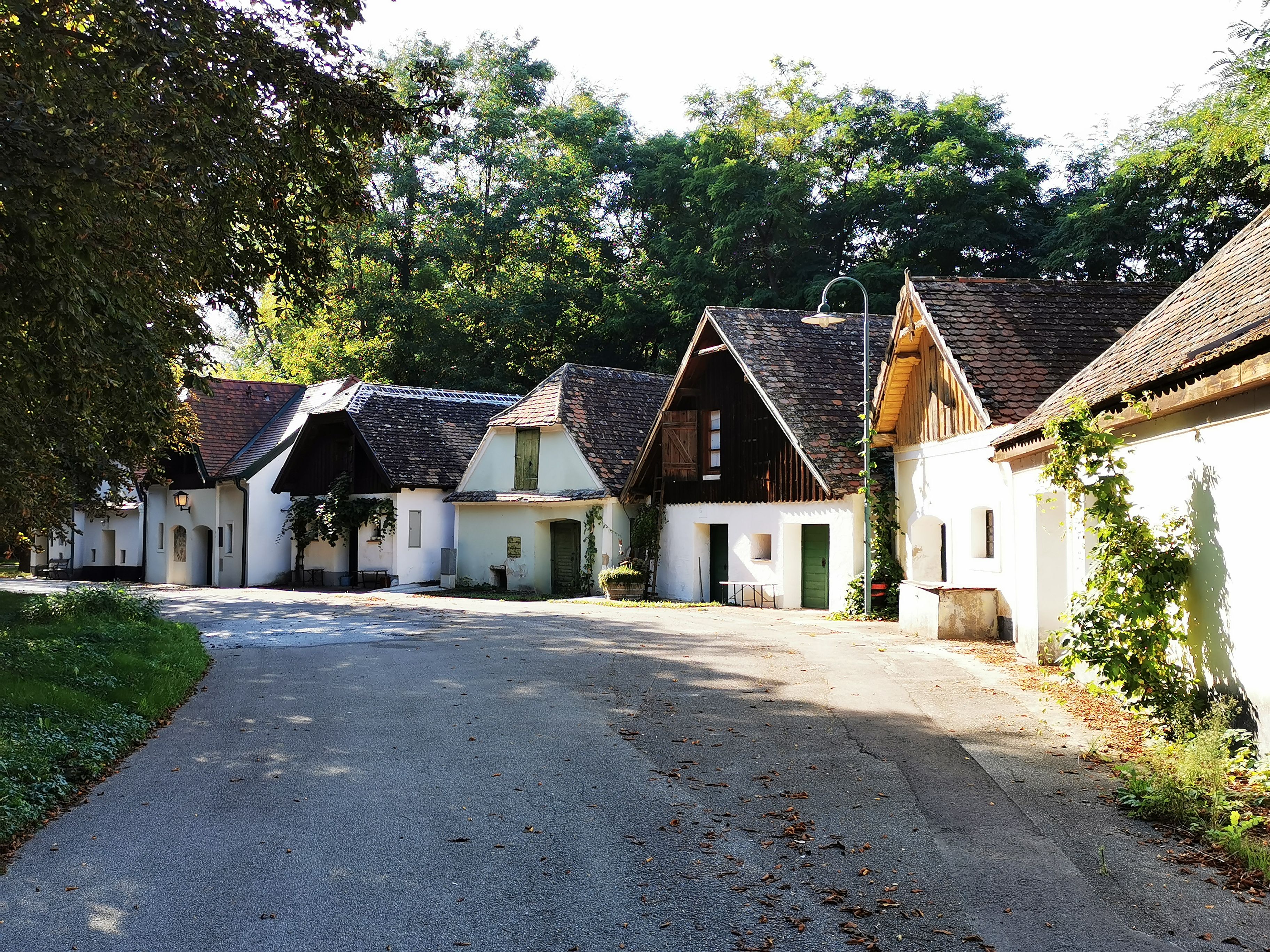 A picturesque wine cellar lane with traditional buildings and trees in the background.