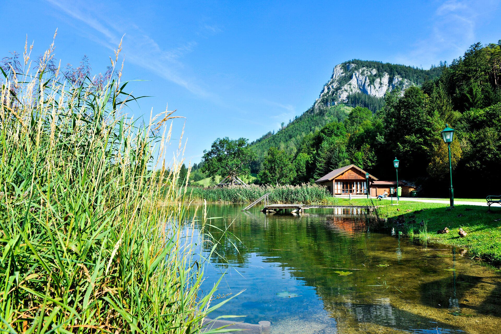 The gentle waves of the water reflect the lush nature, while the majestic mountains in the background provide an impressive backdrop. Here, where the tranquillity of nature meets the beauty of summer, the surroundings invite you to relax and explore.