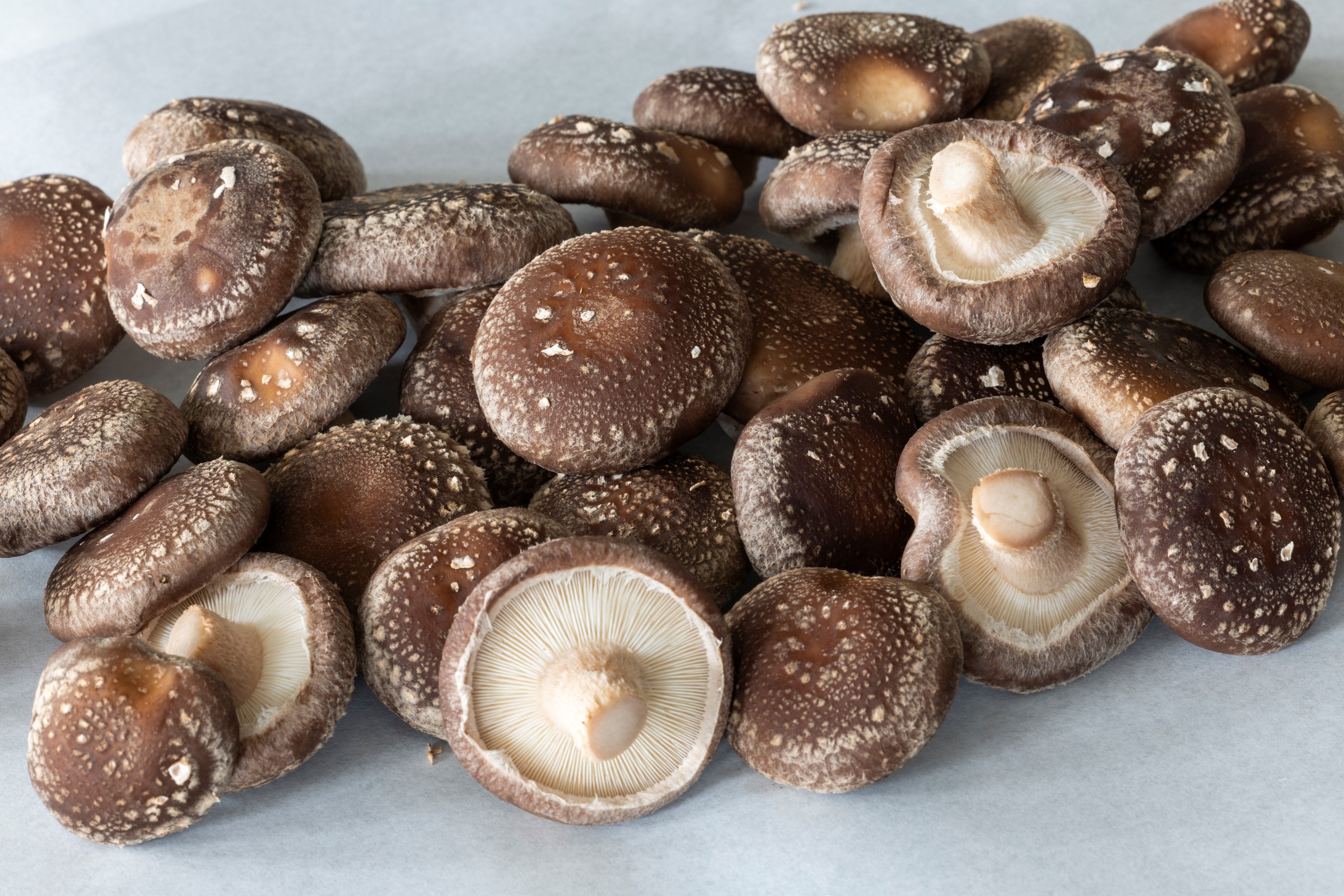 Emperor mushrooms
