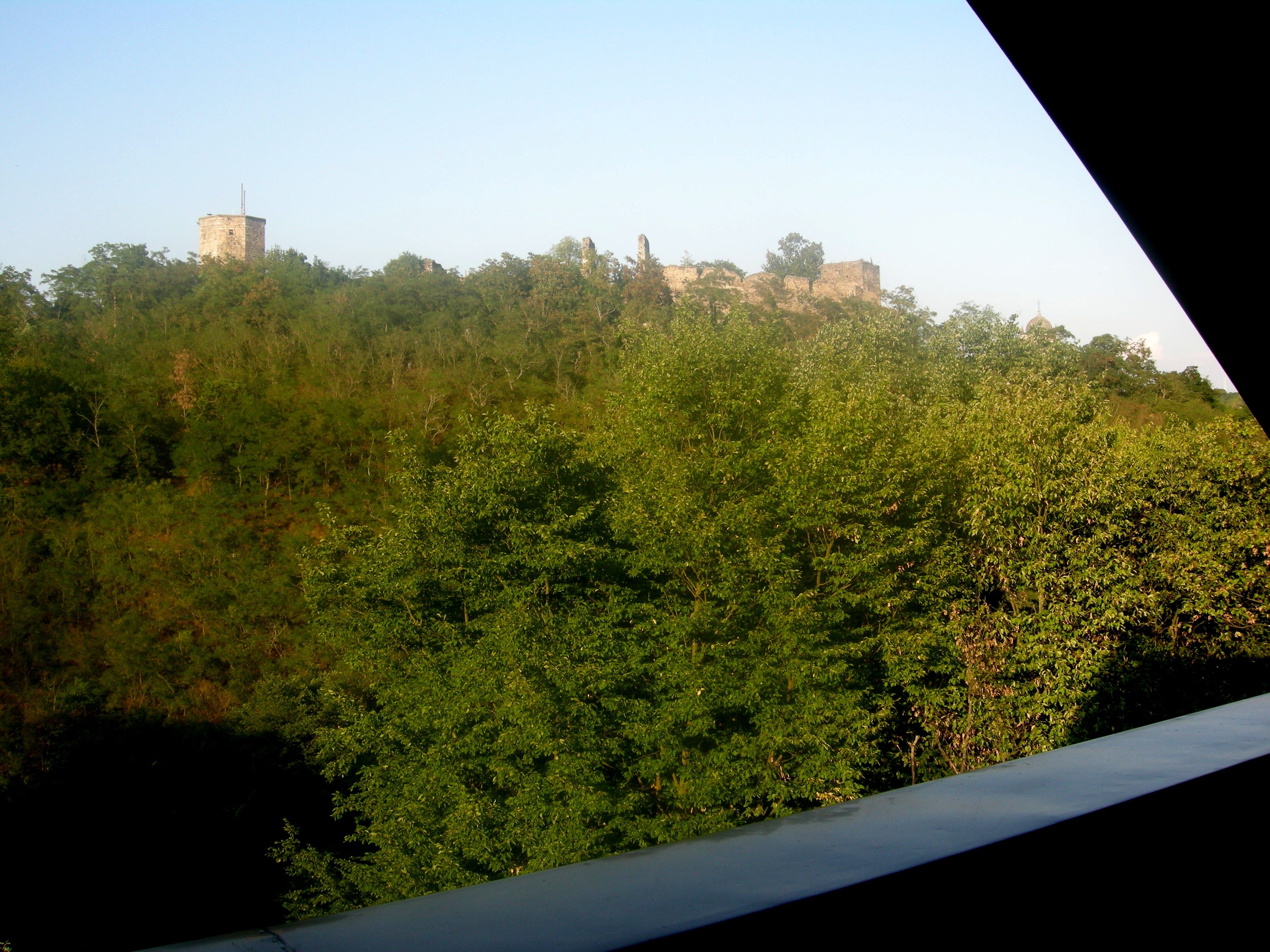 View of the Gars castle ruins behind trees at sunset.
