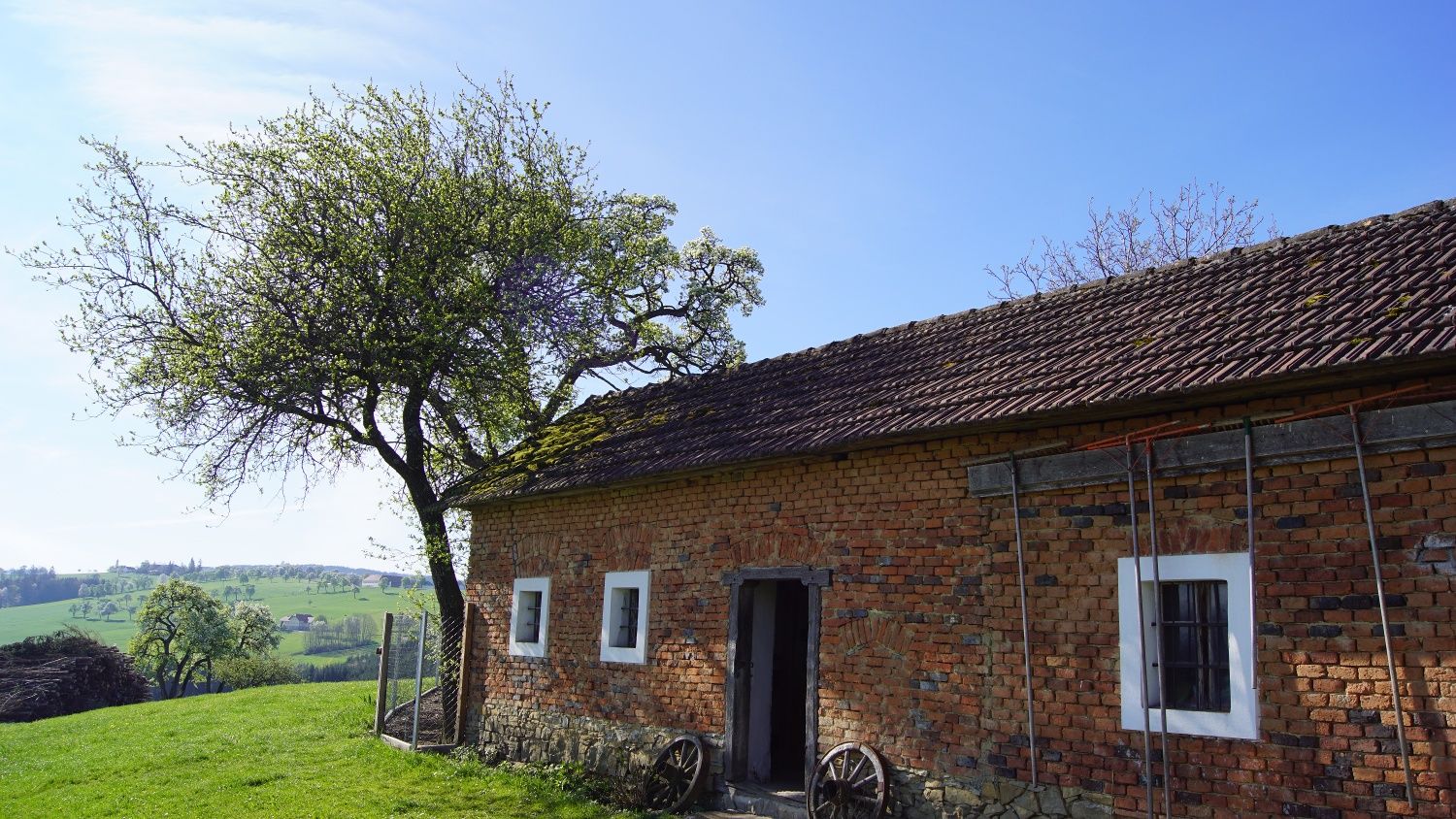 Trefflingblick Trail