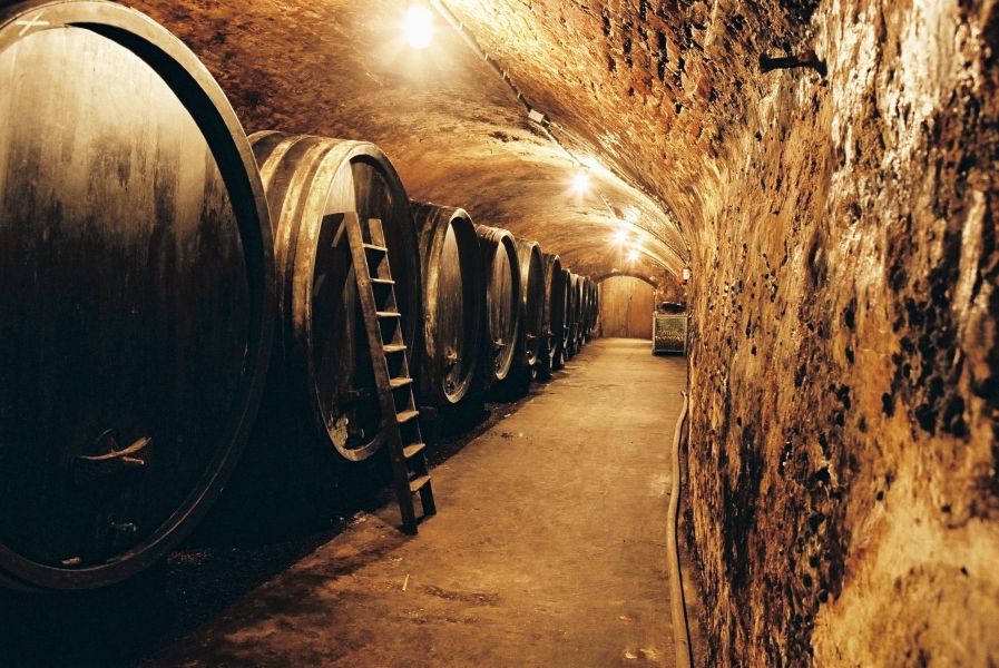 A wine cellar with large wooden barrels on the walls and a ladder leaning against one of the barrels.
