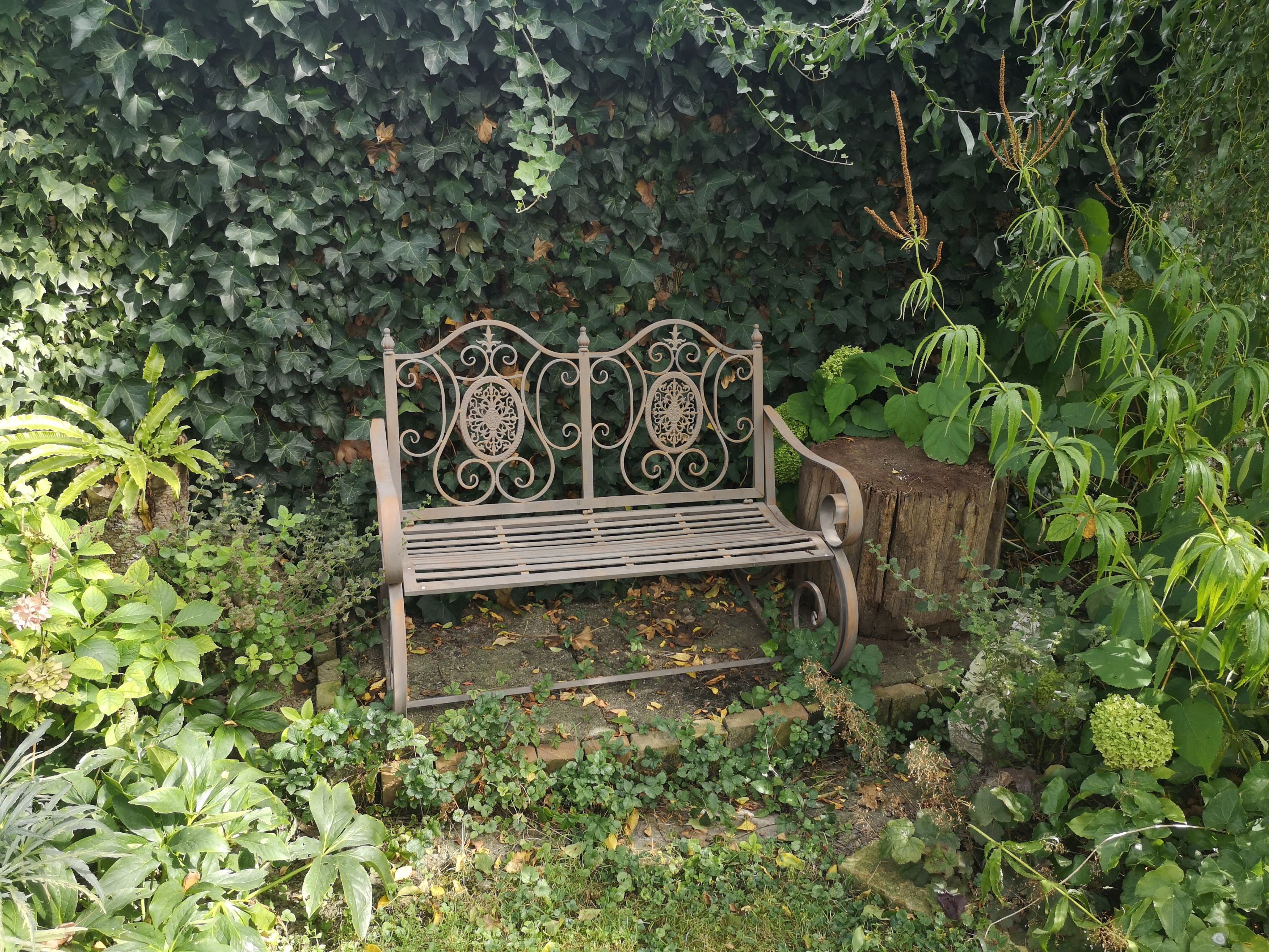A decorative metal garden bench stands in front of an ivy-covered wall, surrounded by various plants.