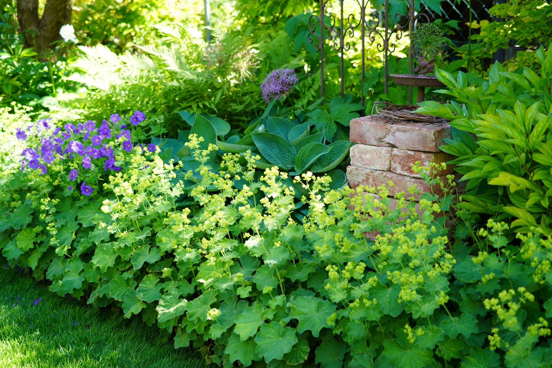 A blooming garden with yellow and purple flowers, surrounded by green leaves and a small brick pedestal.