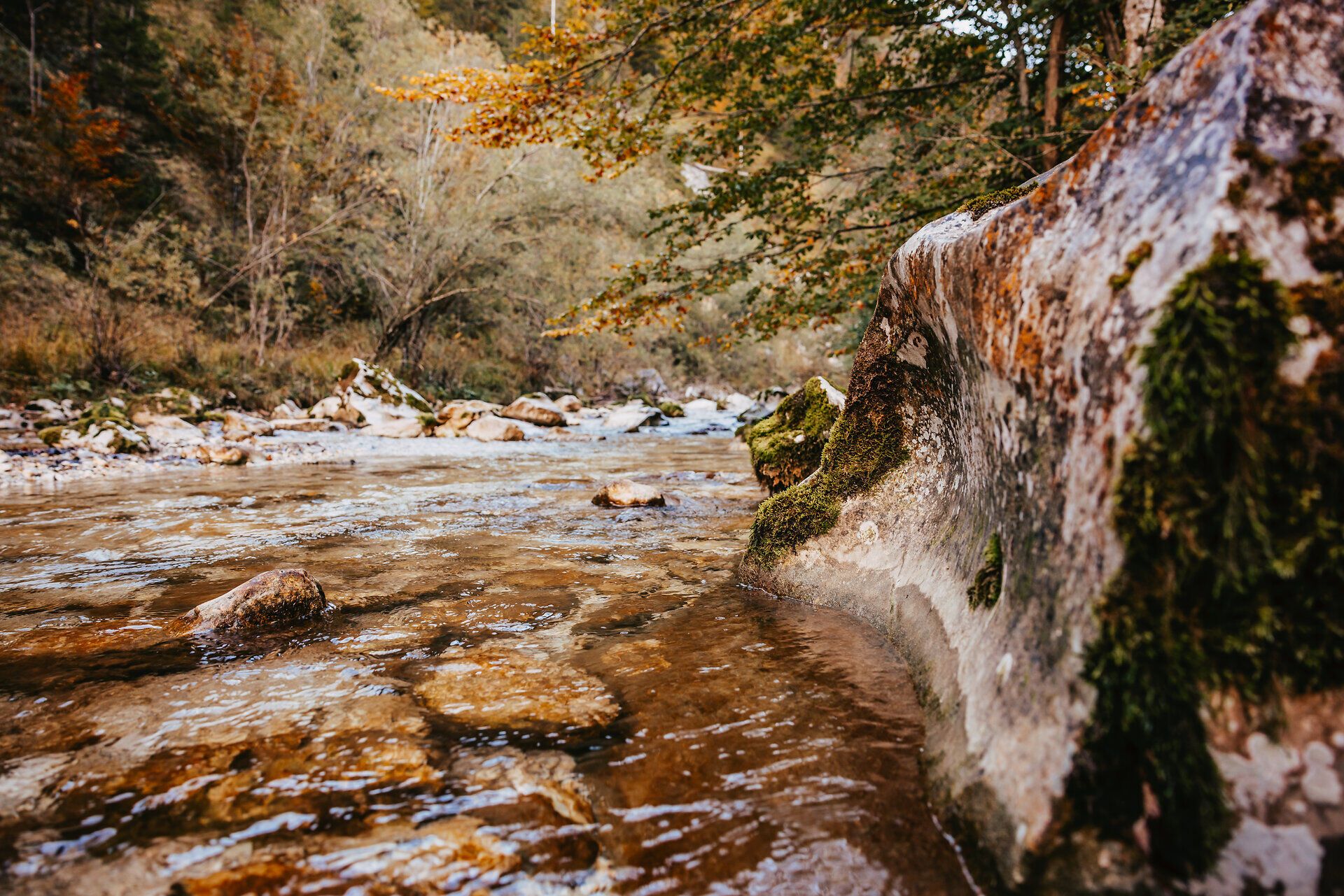 Ein sanfter Fluss schlängelt sich durch die herbstlich gefärbte Landschaft, während die bunten Blätter der Bäume im sanften Wind rascheln. Die klare Luft und das plätschernde Wasser schaffen eine friedliche Atmosphäre, die zum Verweilen einlädt. Hier, wo Natur und Ruhe aufeinandertreffen, können Besucher die Schönheit des Mostviertels in vollen Zügen genießen.