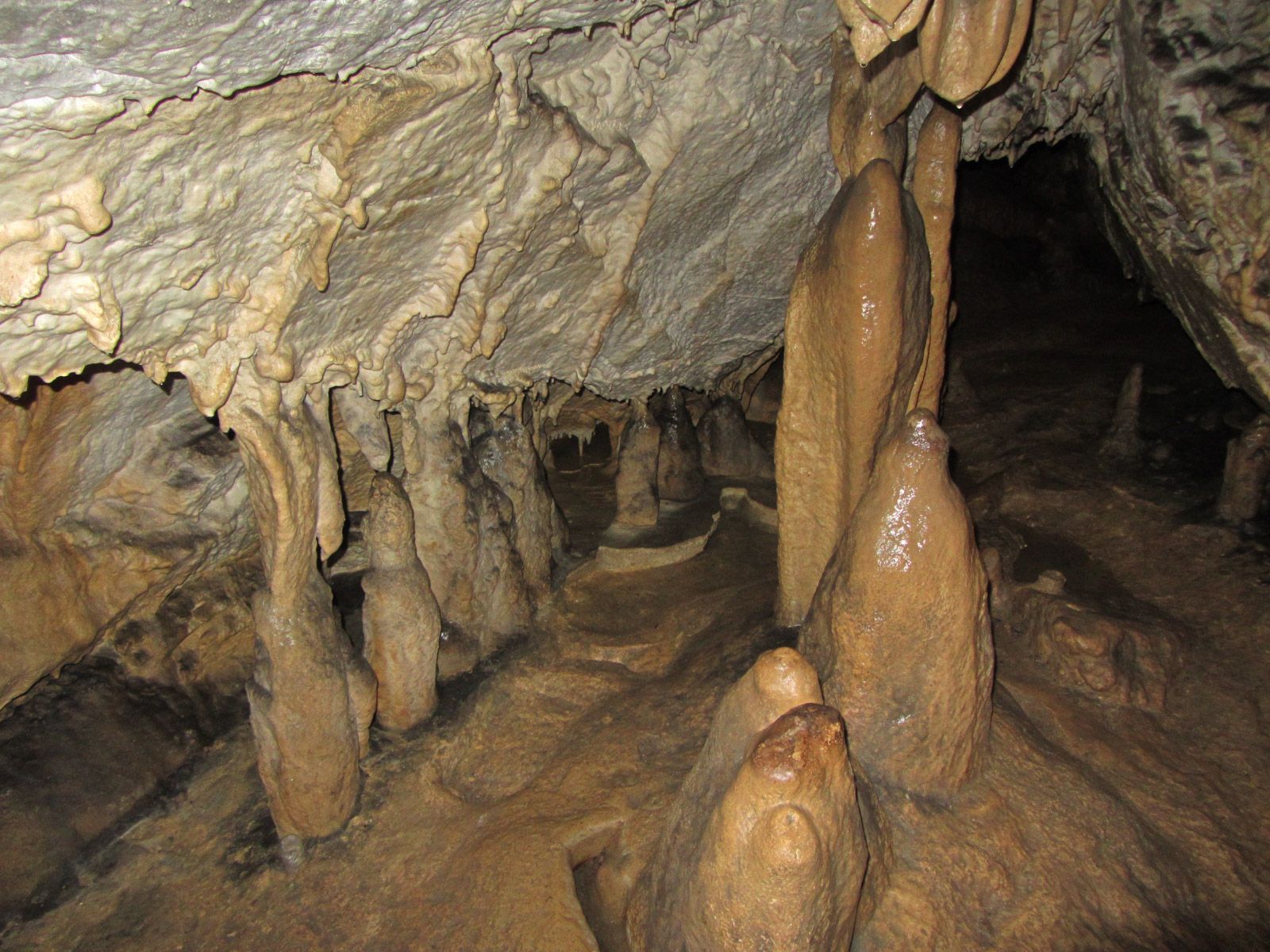Stalagmites and stalactites in a cave.