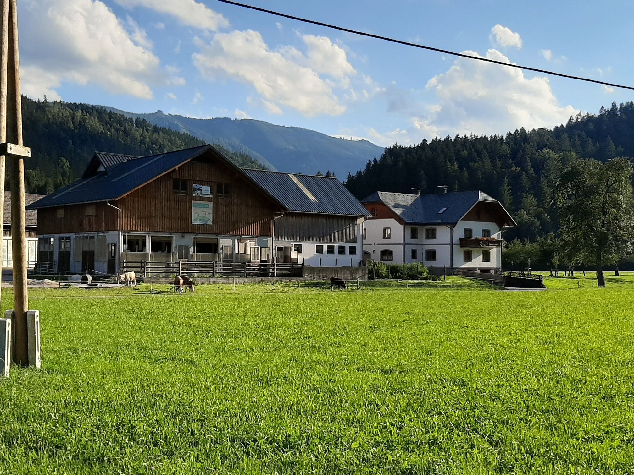 Organic farm Kleinsteg