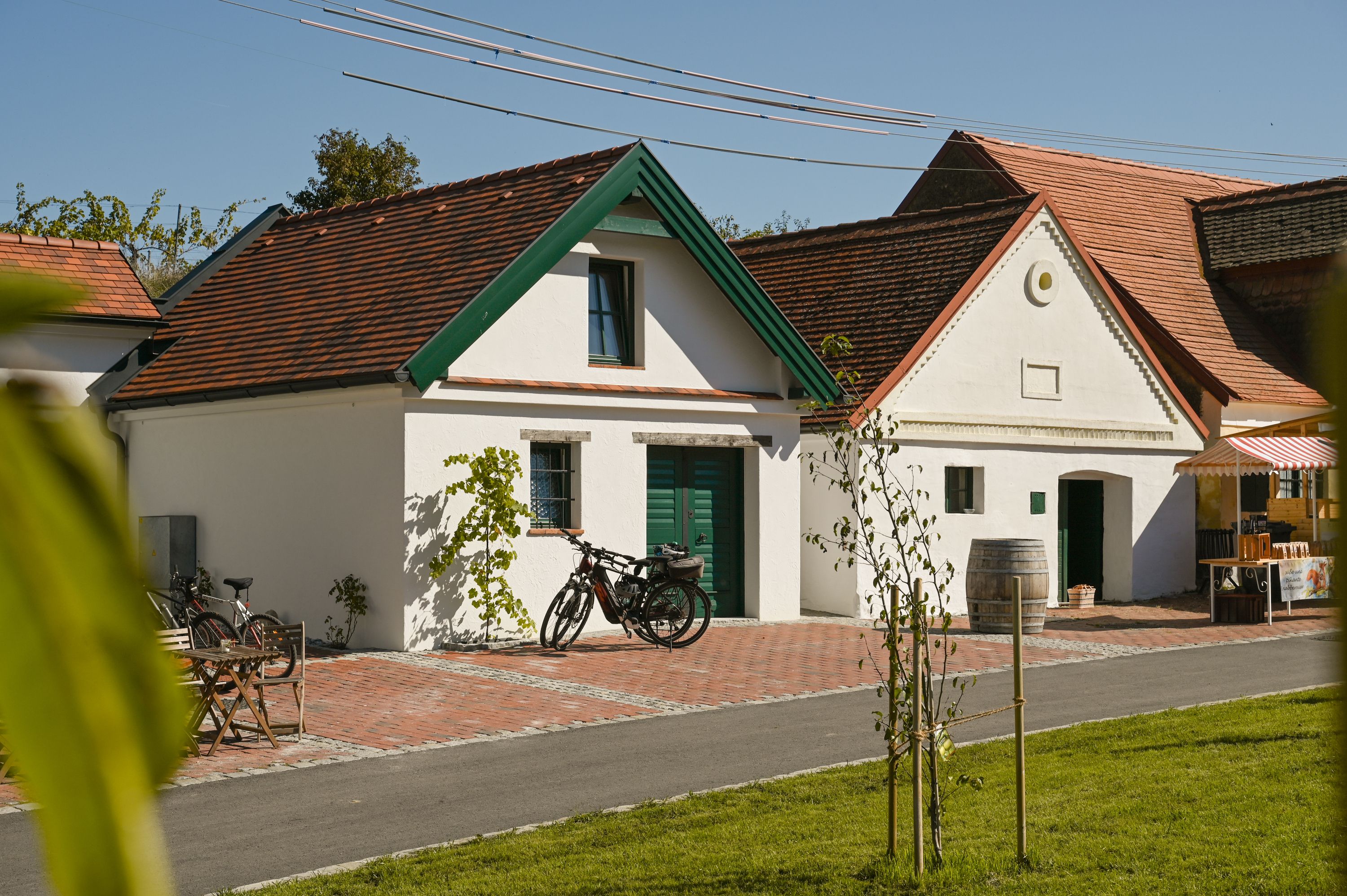 Wine cellar with bicycles and sales stand in sunny weather.