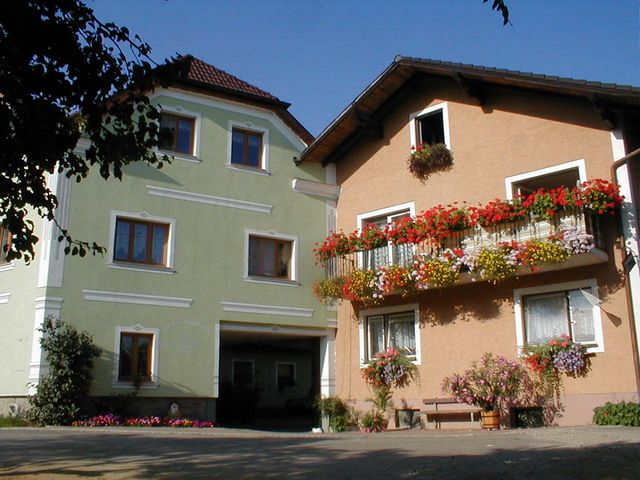 Two farm buildings with colorful flowers on the balconies.