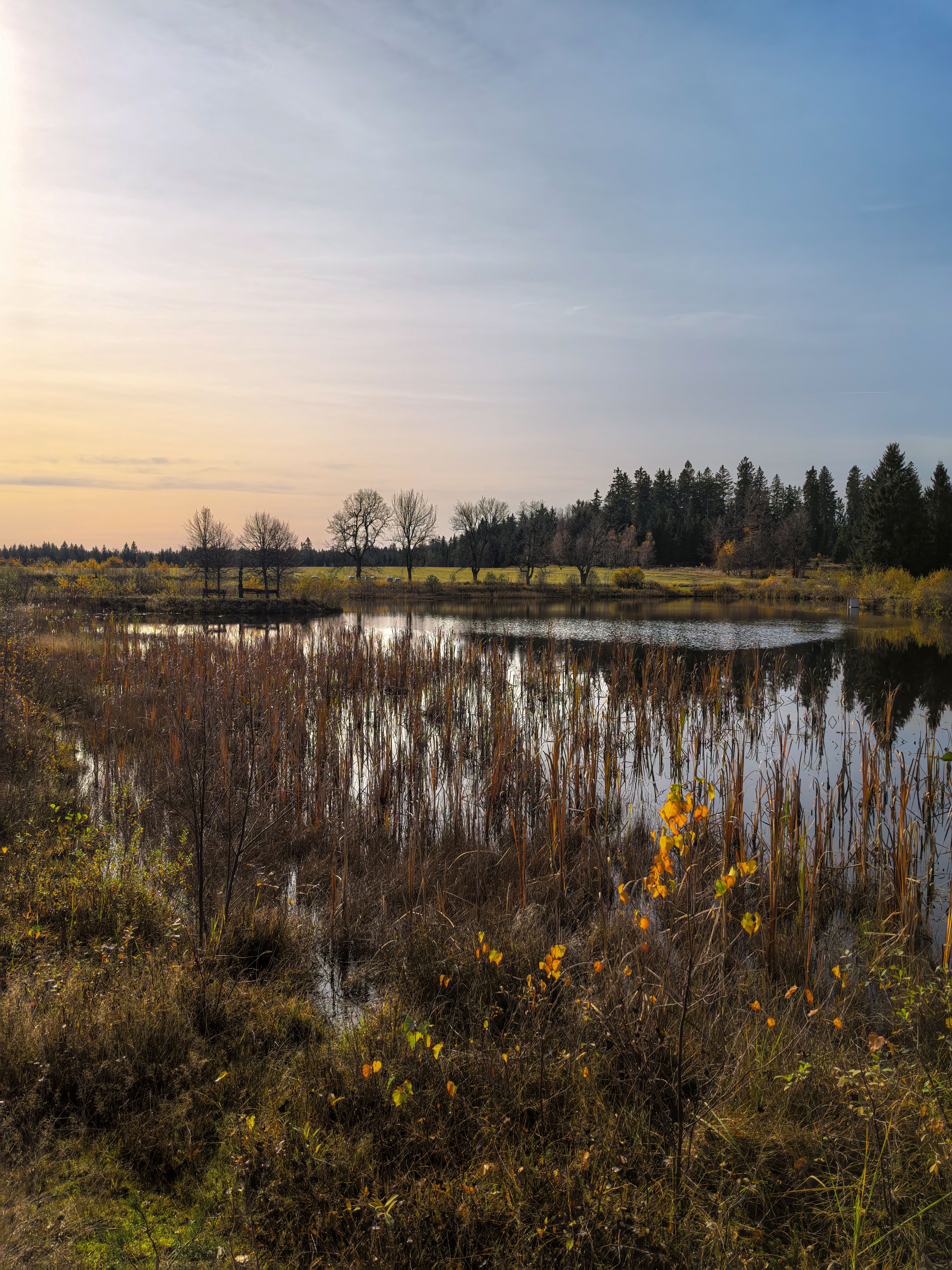 Ceska Canada