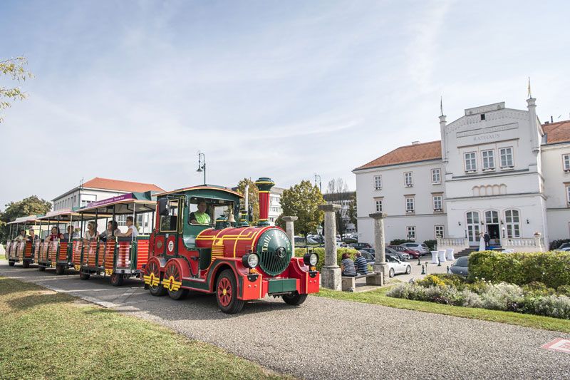 Tulli stands in front of the town hall on the Donaulände 
